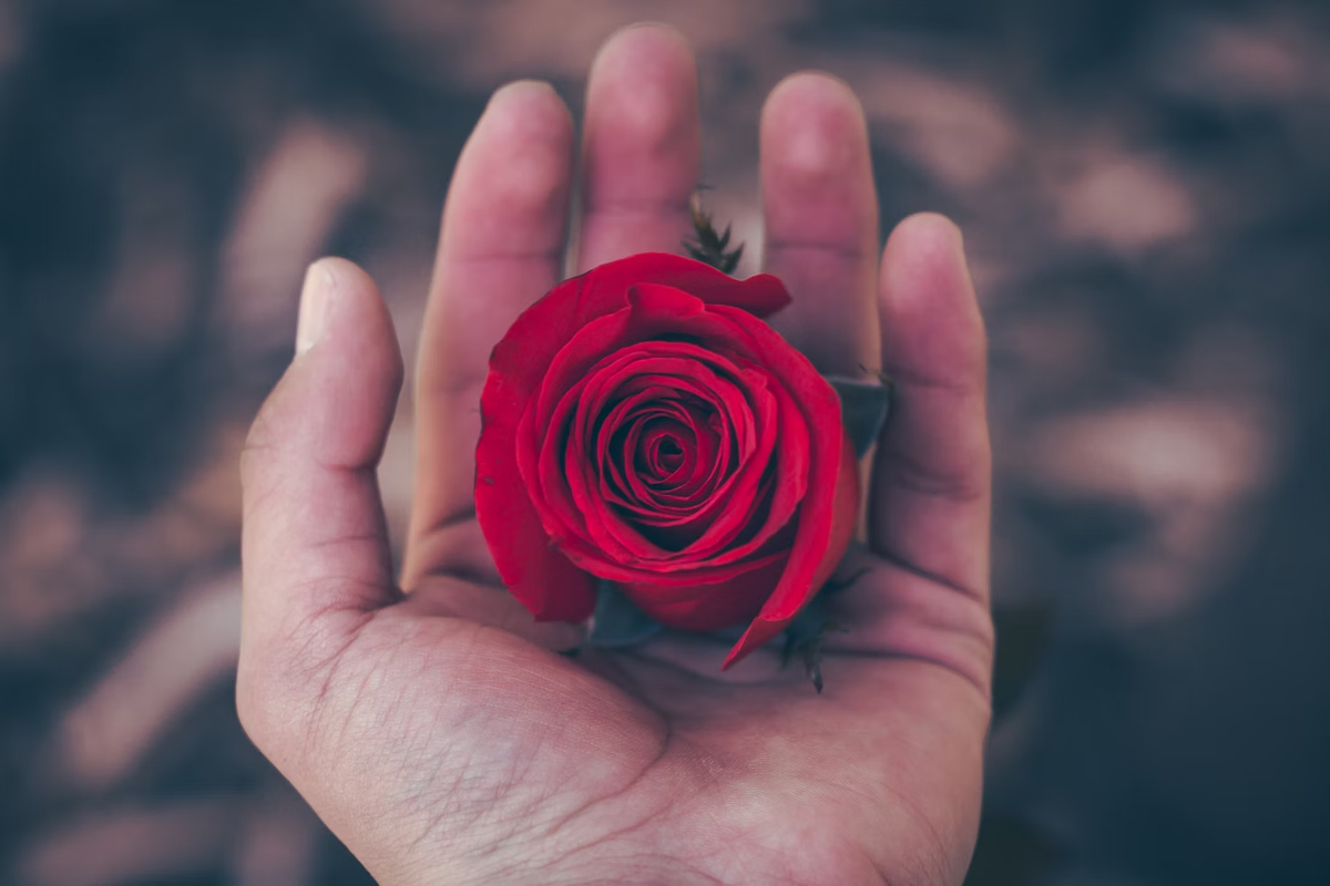 rose en pâte fimo
