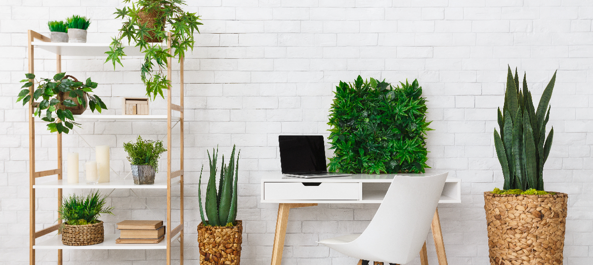 plante artificielle