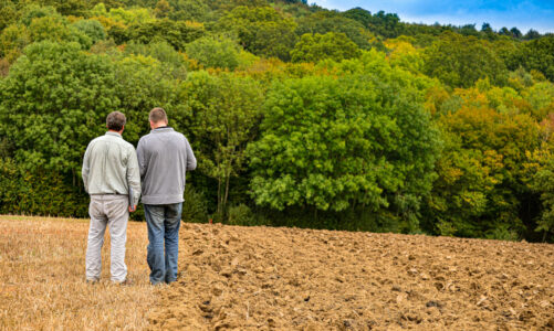vente de terrain entre particulier